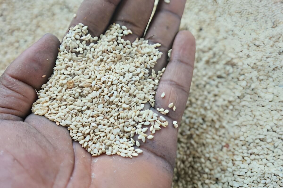 Quality inspection of agricultural products