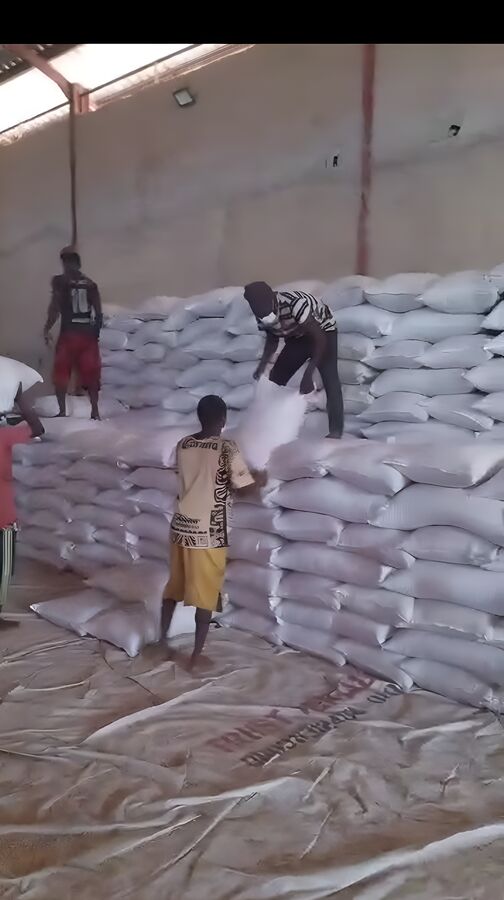 Export packaging and shipping