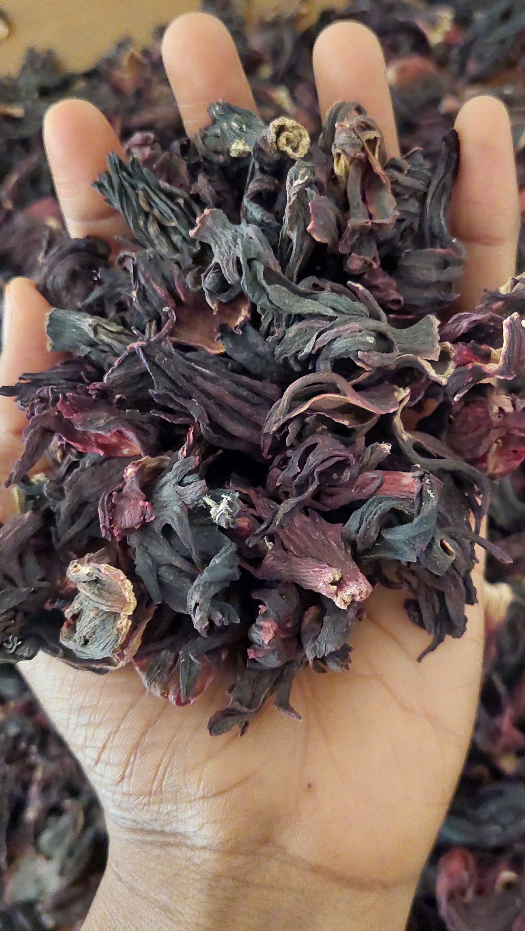 Premium dried hibiscus close-up