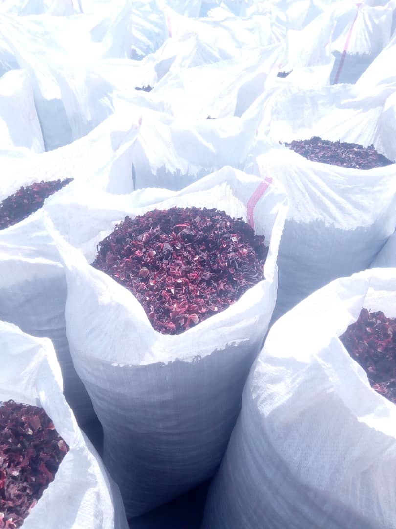 Bags of dried hibiscus ready for export