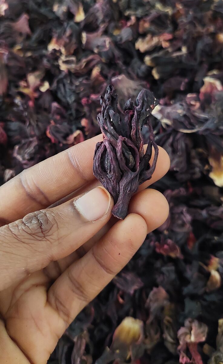 Hibiscus Processing